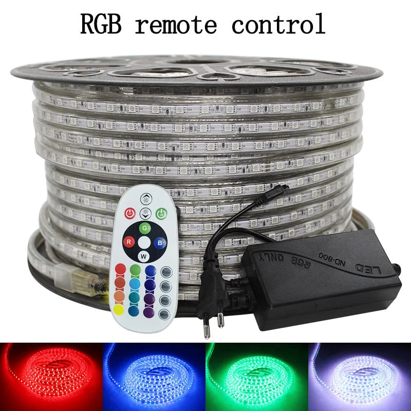 220V LED Strip RGB 5050 Flexible LED Light Outdoor Waterproof LED Strip Light IP67 60leds/m Led Tape With Power plug 5M/10M/15M