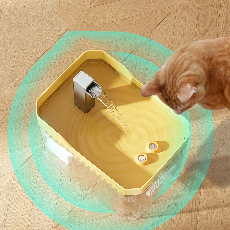 Hot transparent pet water dispenser plug-in automatic water drinker circulating and flowing out water smoothly pet water drinker