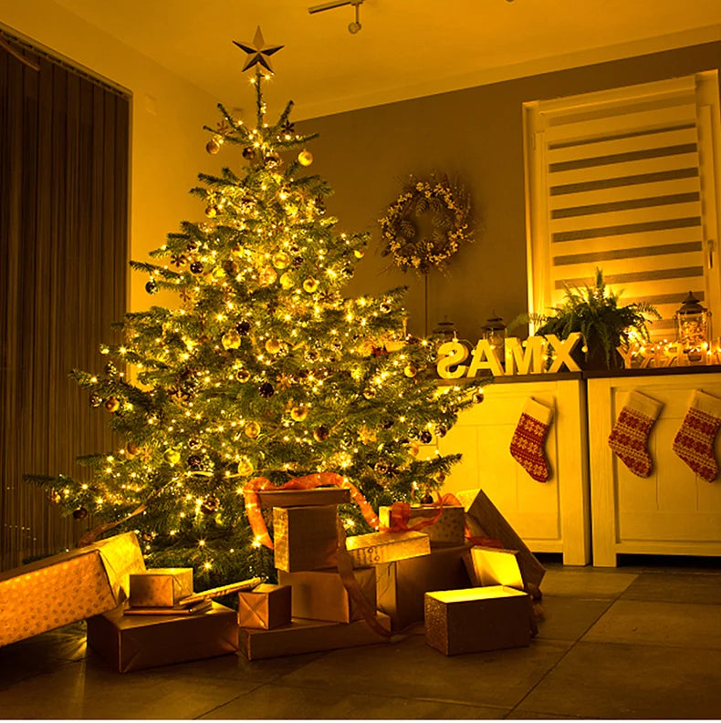 30M 20M 50M 10M 100M LED String Light 24V RGB Warm White Waterproof Outdoor Garland Christmas Decoration Garden Xmas Lights