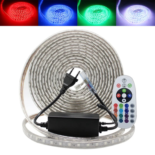220V LED Strip RGB 5050 Flexible LED Light Outdoor Waterproof LED Strip Light IP67 60leds/m Led Tape With Power plug 5M/10M/15M